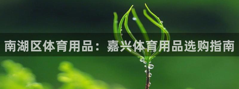 欧陆娱乐平台登录不上去：南湖区体育用品：嘉兴体育用品