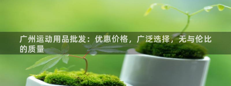 欧陆娱乐挂机怎么玩的：广州运动用品批发：优惠价格，广