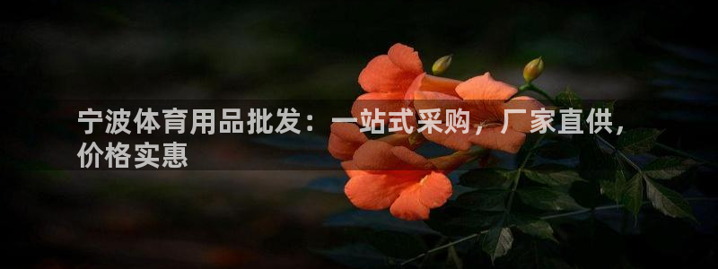 欧陆娱乐登录官网网址：宁波体育用品批发：一站式采购，