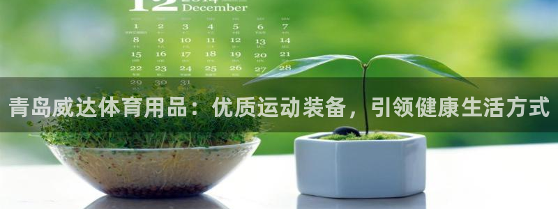 欧陆娱乐不让提现：青岛威达体育用品：优质运动装备，引领健康生