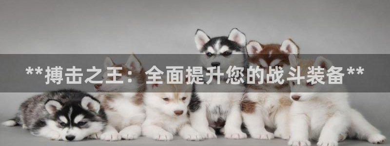 欧陆娱乐官方网站入口：**搏击之王：全面提升您的战斗
