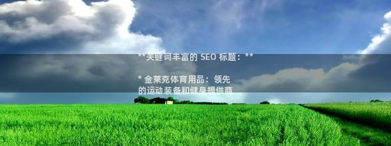 欧陆娱乐平台登录：**关键词丰富的 SEO 标题：*