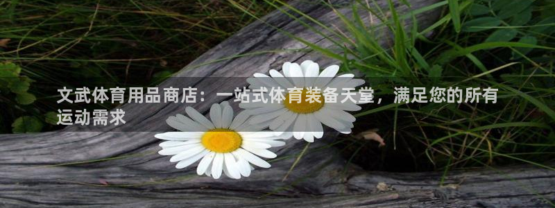 欧陆娱乐怎么注册帐号登录：文武体育用品商店：一站式体