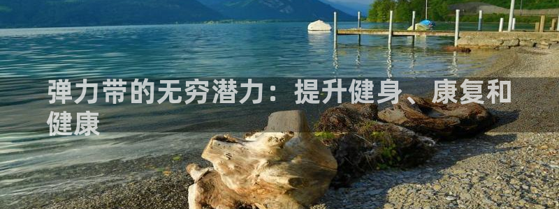 欧陆娱乐官网注册中心在哪：弹力带的无穷潜力：提升健身