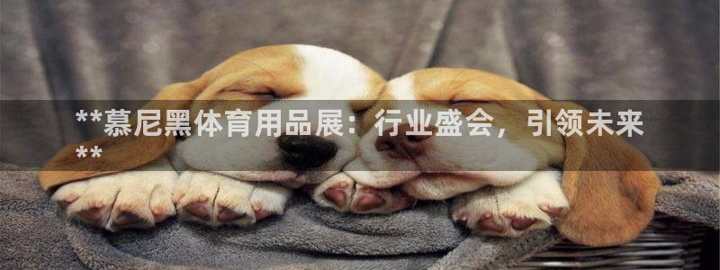 欧陆娱乐安全?：**慕尼黑体育用品展：行业盛会，引领