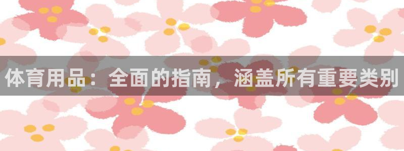 欧陆娱乐平台登录不上：体育用品：全面的指南，涵盖所有