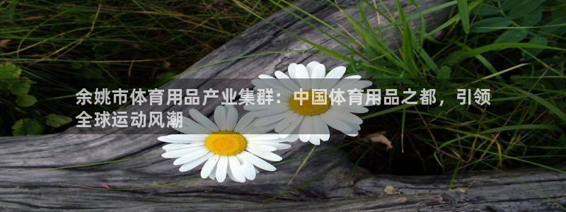 欧陆娱乐客服电话人工服务热线:余姚市体育用品产业集群:中国体