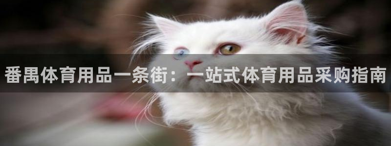 欧陆娱乐是正规平台吗安全吗知乎：番禺体育用品一条街：一站式体