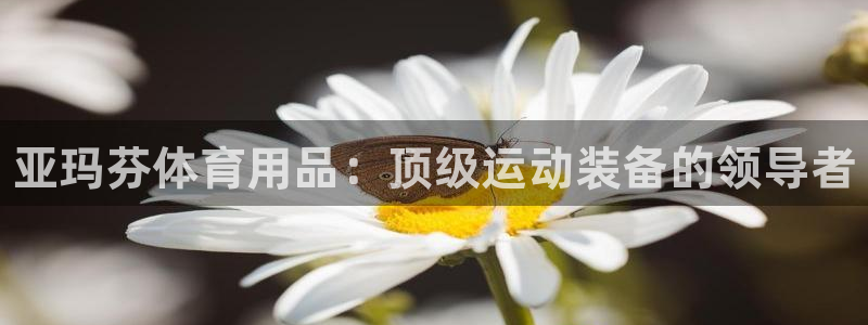欧陆娱乐登录测速：亚玛芬体育用品：顶级运动装备的领导