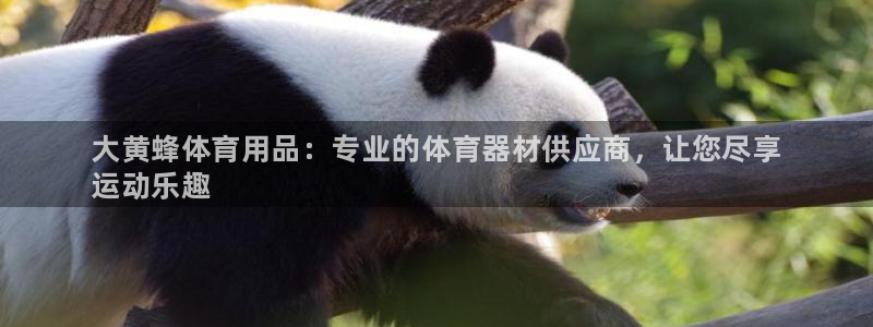 欧陆娱乐会员多少钱：大黄蜂体育用品：专业的体育器材供应商，让