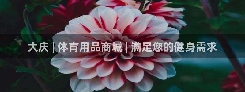 欧陆娱乐官网入口