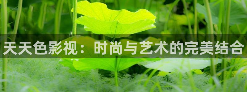 神马我不卡电影院手机在线,f：天天色影视：时尚与艺术的完美结合
