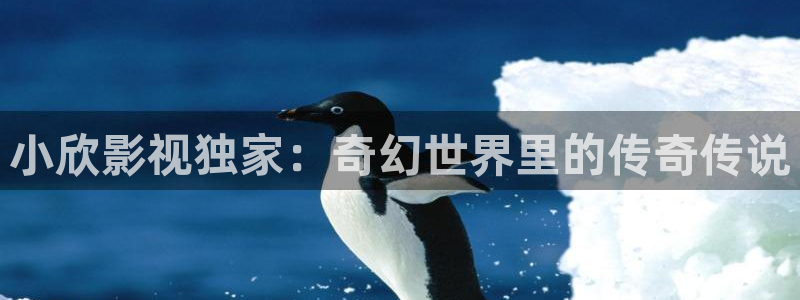 日本午夜一级我不卡电影：小欣影视独家：奇幻世界里的传奇传说