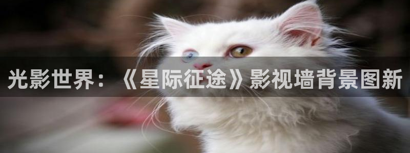 神马影院我不卡电影：光影世界：《星际征途》影视墙背景图新