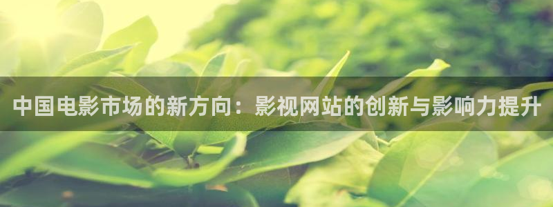 神马电影我不卡电影：中国电影市场的新方向：影视网站的创新与影响力提升