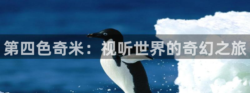 神马影院我不卡电影院：第四色奇米：视听世界的奇幻之旅