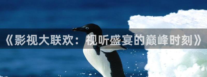 我不卡电影网站：《影视大联欢：视听盛宴的巅峰时刻》