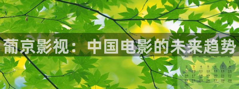 我不卡神马我不卡电影：葡京影视：中国电影的未来趋势