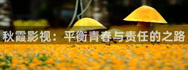 我不卡神马我不卡电影：秋霞影视：平衡青春与责任的之路