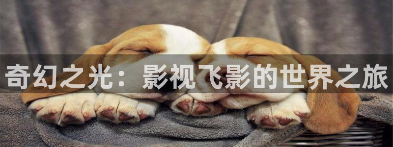 我不卡电影在线：奇幻之光：影视飞影的世界之旅