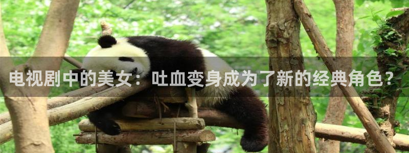 神马手机我不卡电影：电视剧中的美女：吐血变身成为了新的经典角色？