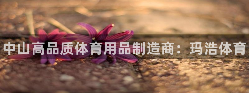 欧陆娱乐请输入USDT地址：中山高品质体育用品制造商